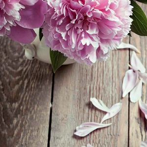 Meet your Posher, Sabrina